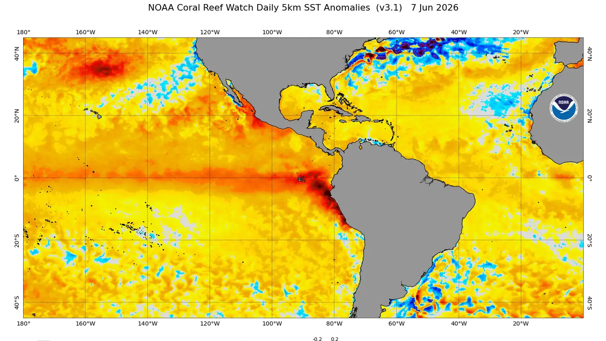 El Niño avanza rápidamente y los expertos prevén un evento h