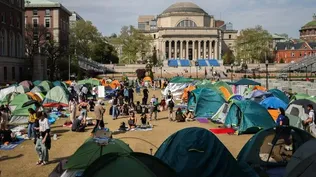 Cientos de estudiantes en un acampe en 2024 frente a la Universidad de Columbia como parte de su manifestación a favor de Palestina
