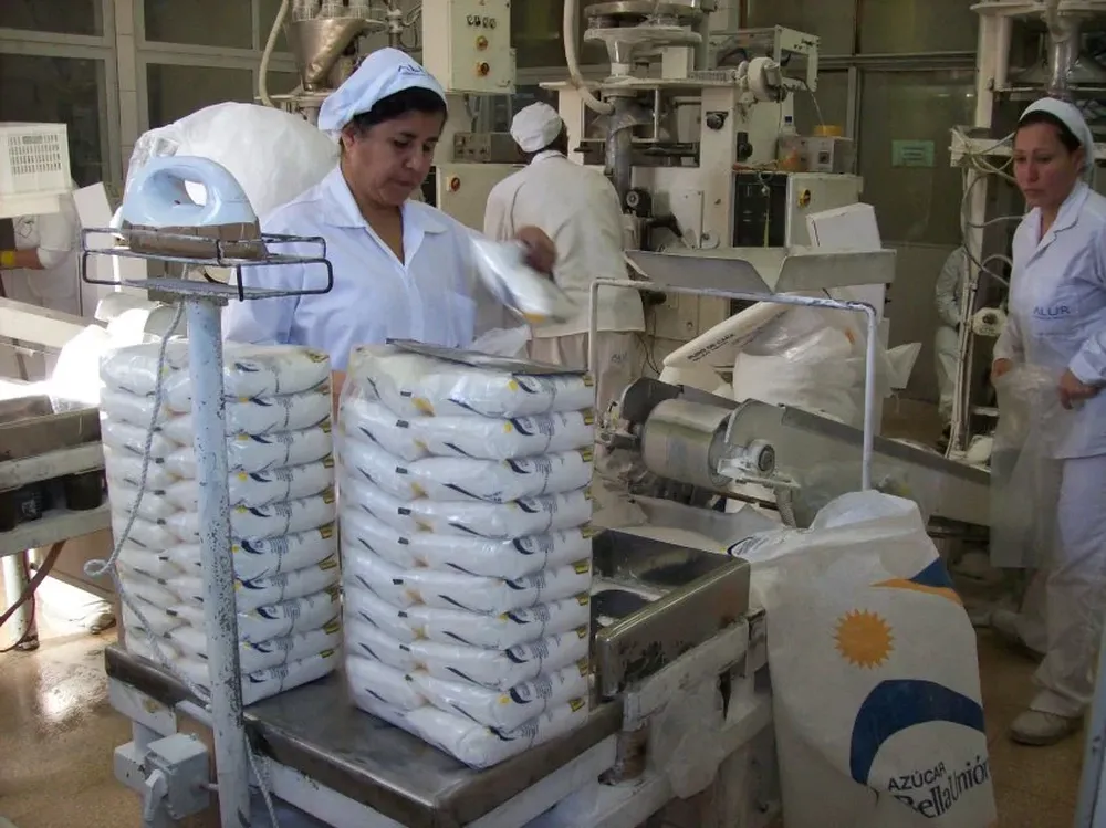 El precio del azúcar se afirmó en el contexto global.