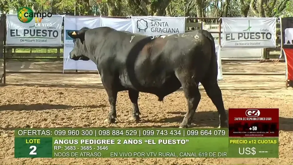 La venta se realizó en la Sociedad de Fomento Rural de Flores.