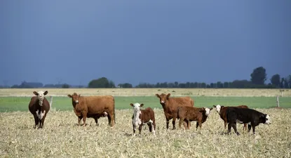 El Observador | 000_1TI32M.webp