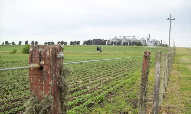 Federación Rural evalúa hacer movilizaciones en ruta para informar sobre un eventual reaforo de catastro