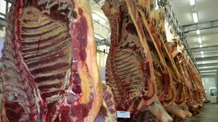 Trabajadores piden un ritmo de faena normal
