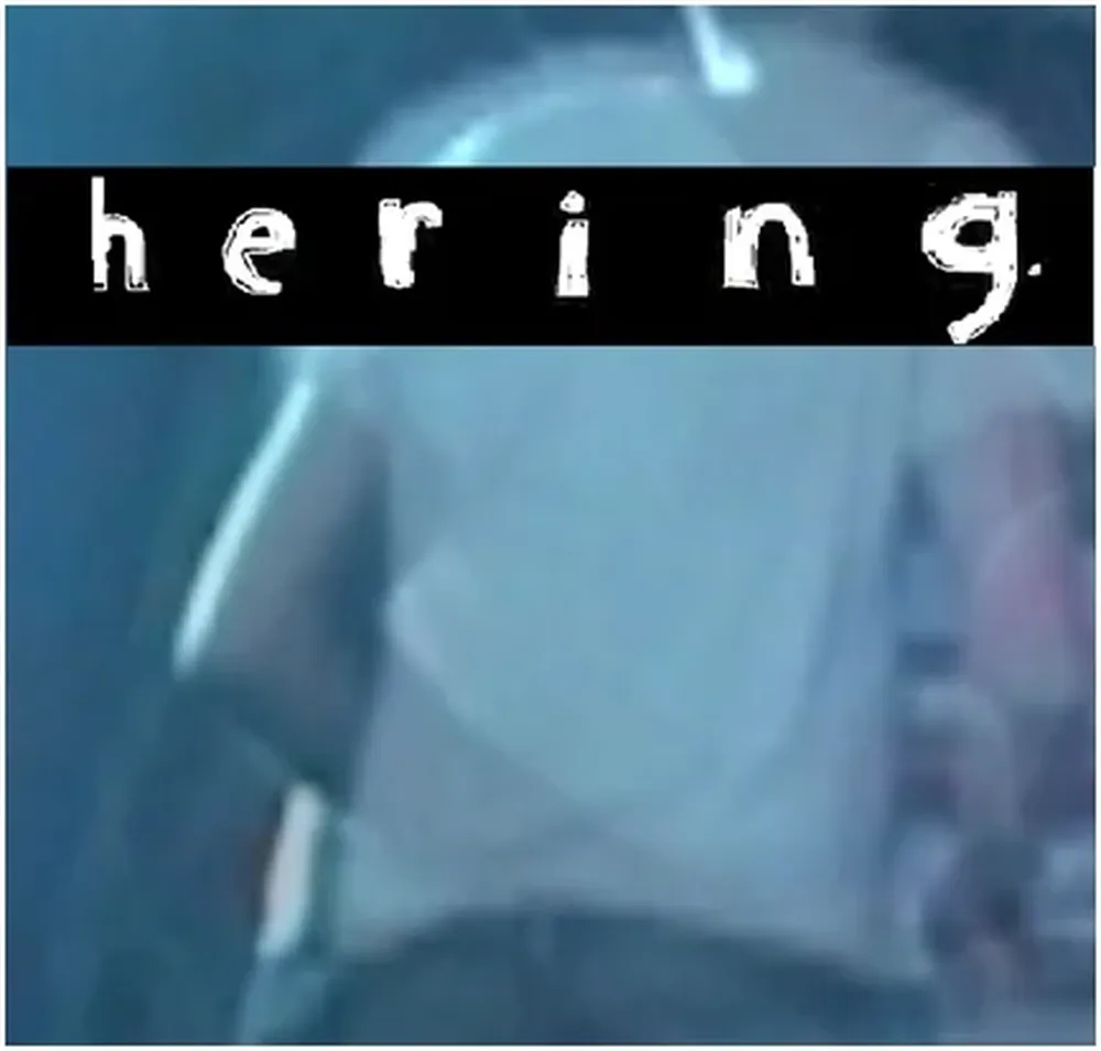Hering