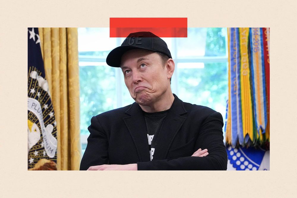 Algunas chicas hablaron de las posturas pronatalistas de Elon Musk.