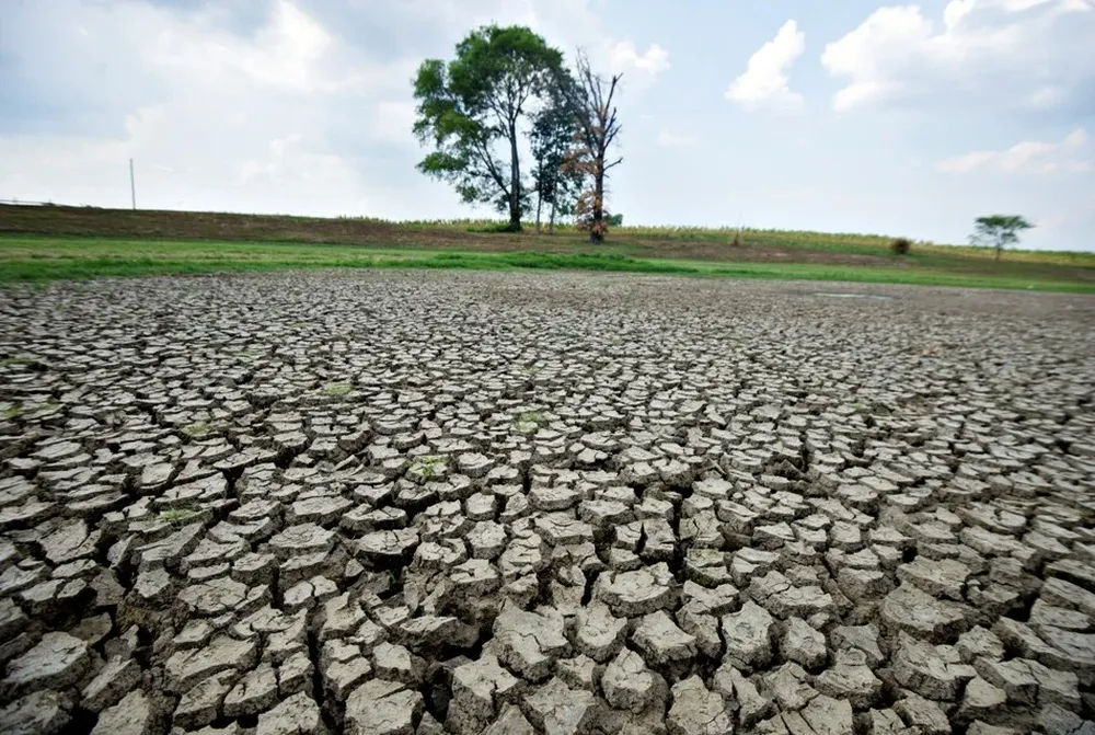 La caída en la producción de maíz en Estados Unidos será mayor a 50 millones de toneladas