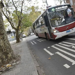 Primera semana de fiscalización de carril Solo Bus: el 97% de las multas fueron por vehículos mal estacionados