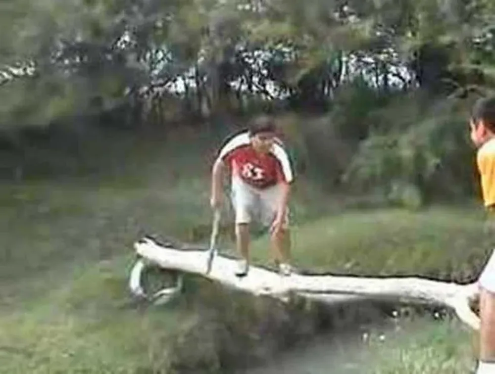 0005441289.webp