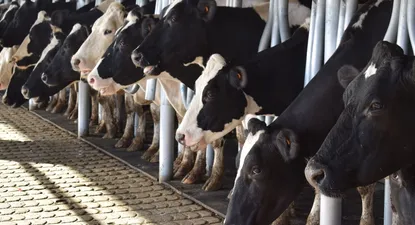 Leche remitida en aumento en todos los indicadores.