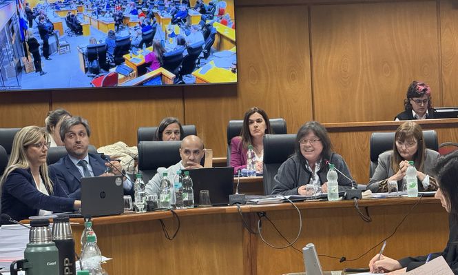 Uruguay ya no está lejos de lo que pasa en Río de Janeiro, dijo la fiscal Mónica Ferrero en el Parlamento