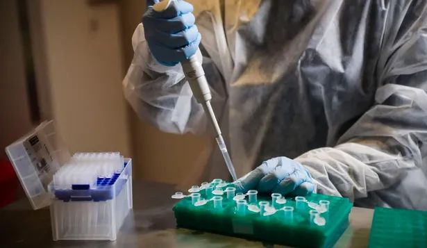 El gobierno británico anunció el 20 de octubre que ordenó 480 mil tratamientos de molnupiravir, del laboratorio Merck