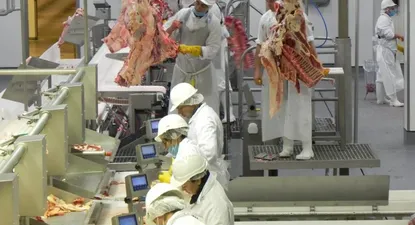 El uso de la capacidad industrial cierra el año en mínimo histórico