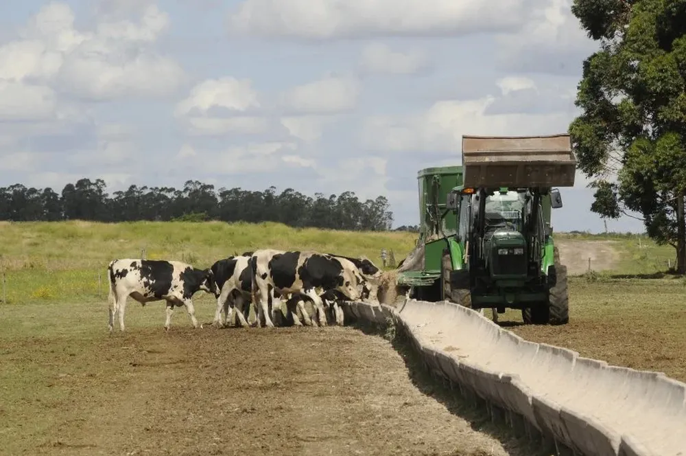 El Inale evalúa costos, precio de la leche y poder de compra.
