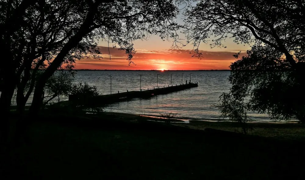 La terminal estaría operativa desde julio de 2023.