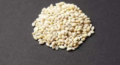 receta para una alternativa saludable: risotto de cebada perlada