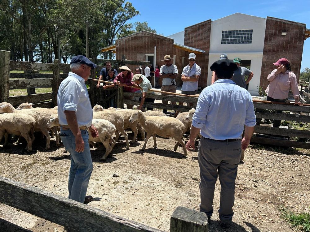Empresario de la industria frigorífica anunció una colaboración relevante para una escuela agraria modelo (en la foto se ven parte de las instalaciones del centro educativo).