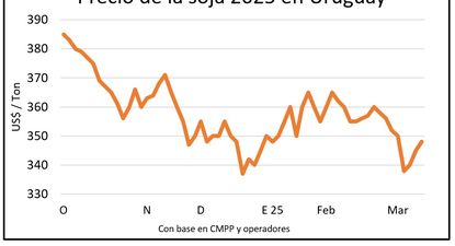 Mercado de granos, Blasina y Asociados.