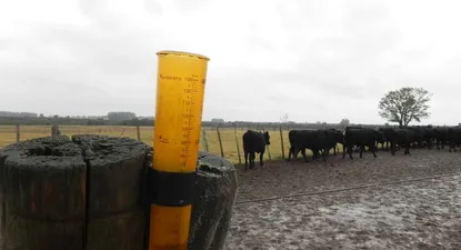 Las precipitaciones mostraron un comportamiento bastante dispar en 2021.