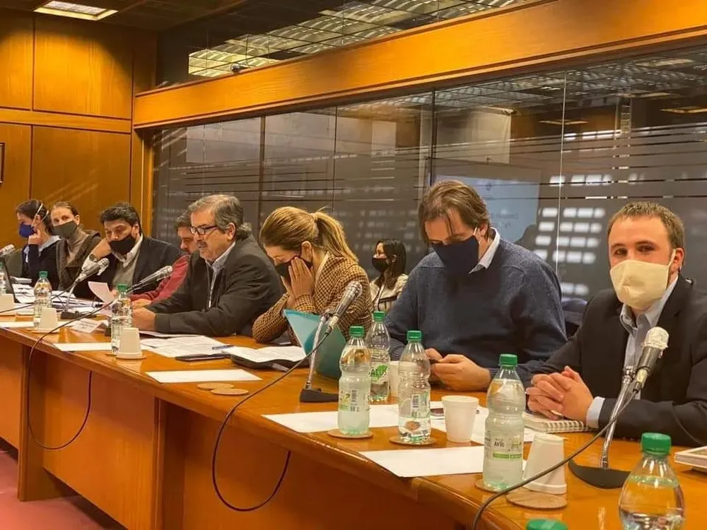 Equipo de MGAP durante la sesión en la Comisión de Ganadería.