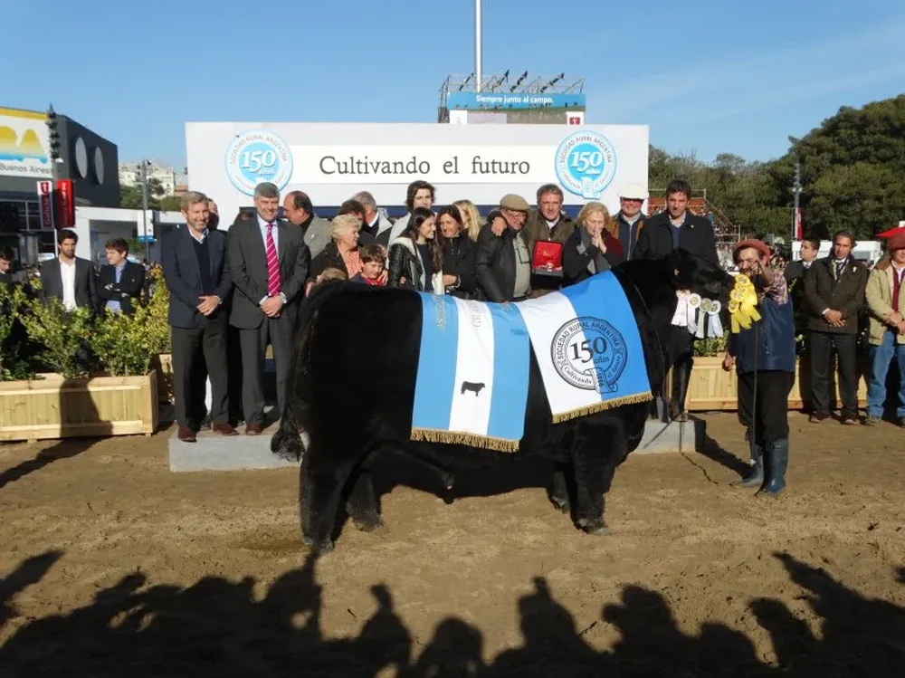 El doble Gran Campeón de la principal raza bovina en Argentina.