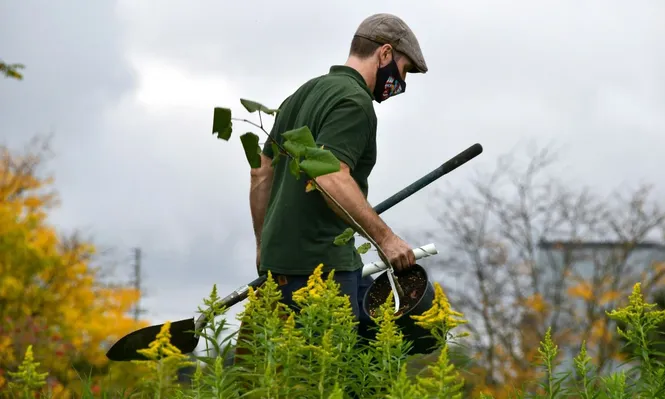 El conocimiento en el cuidado de plantas perennes, césped y arbustos es importante para el puesto.