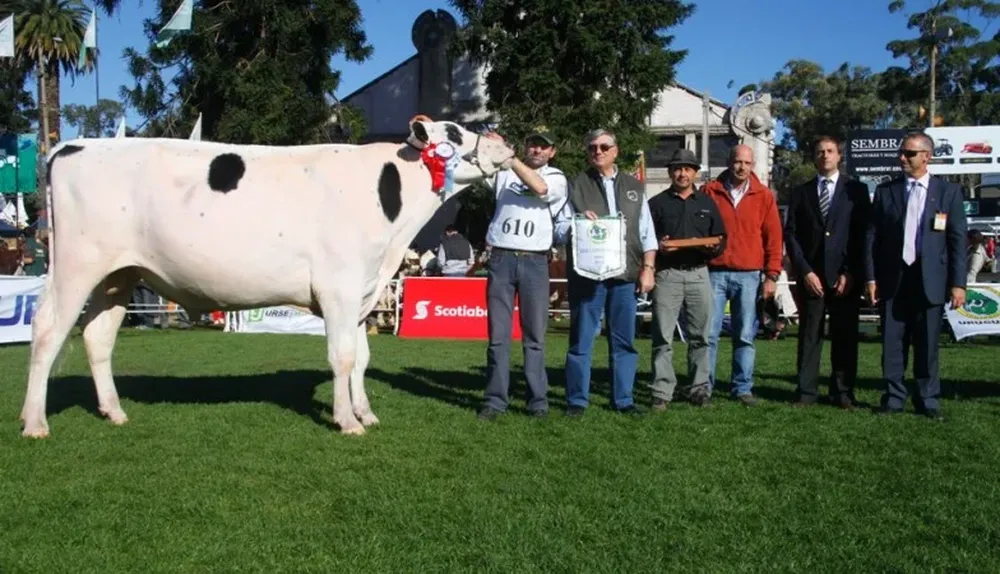 Gran Campeón Holando en la Rural