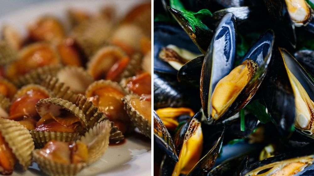 MGAP dispuso que dos productos tradicionales en la actividad pesquera no pueden consumirse si proceden de Rocha, hasta nuevo aviso.