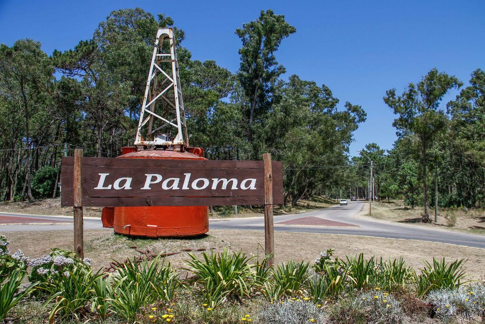 La Paloma