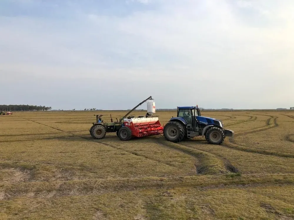 Uso de maquinaria en siembra de arroz.