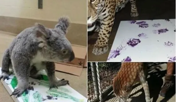 Algunos de los animales fueron fotografiados en la propuesta.