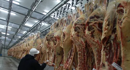 Producción cárnica uruguaya