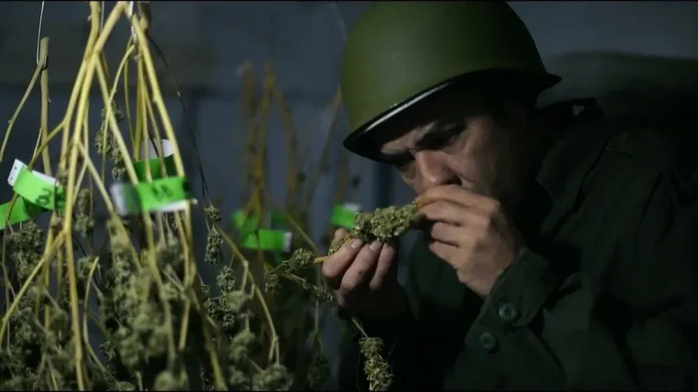 TEST OFICIAL - Marihuana Legal en Uruguay - (Cámara Oculta)