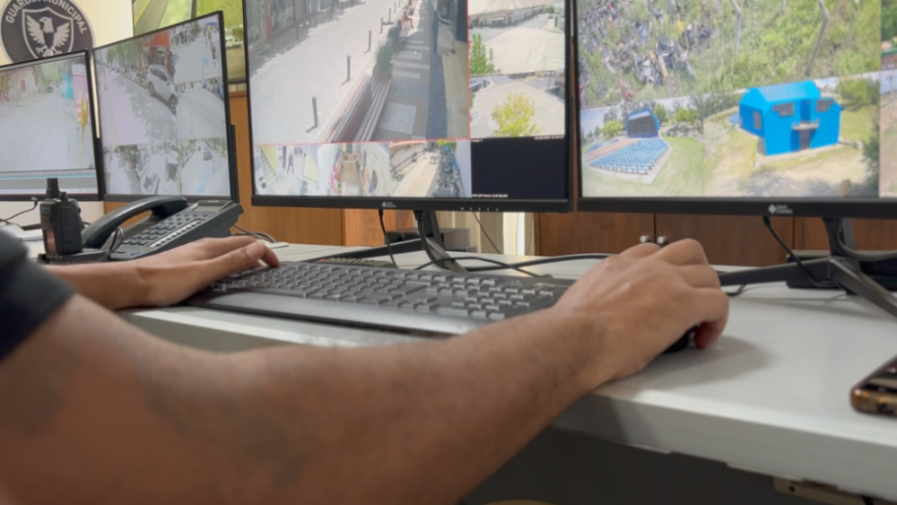 ojos en alerta florida