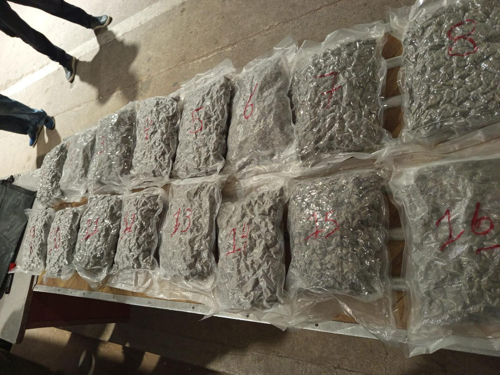 WhatsApp Image 2024-11-21 at 09.10.22.jpeg