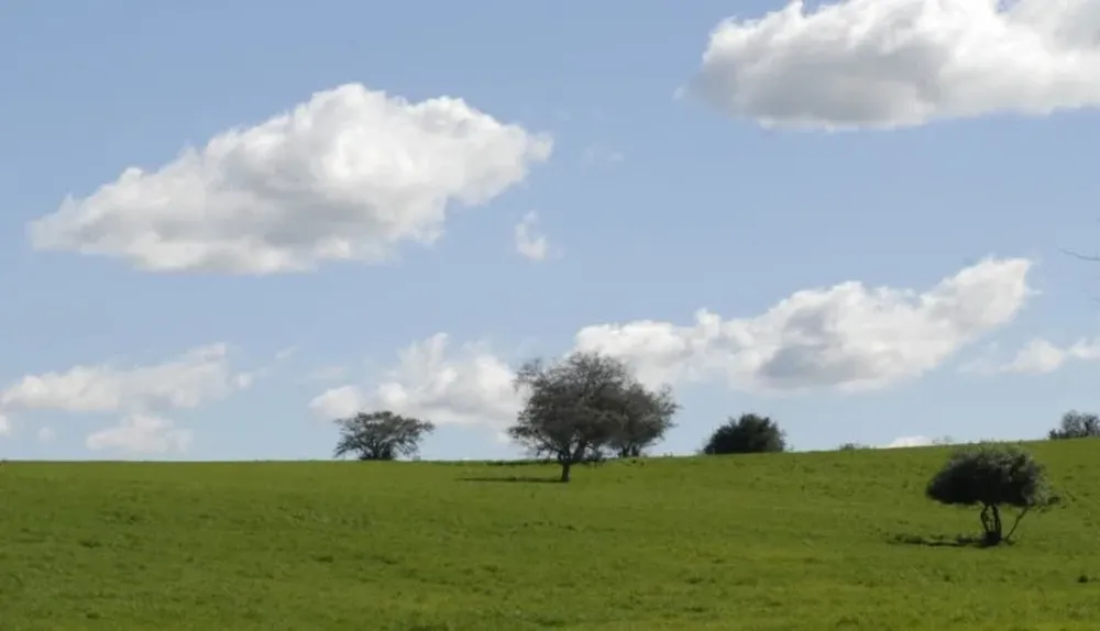 Contribución inmobiliaria rural