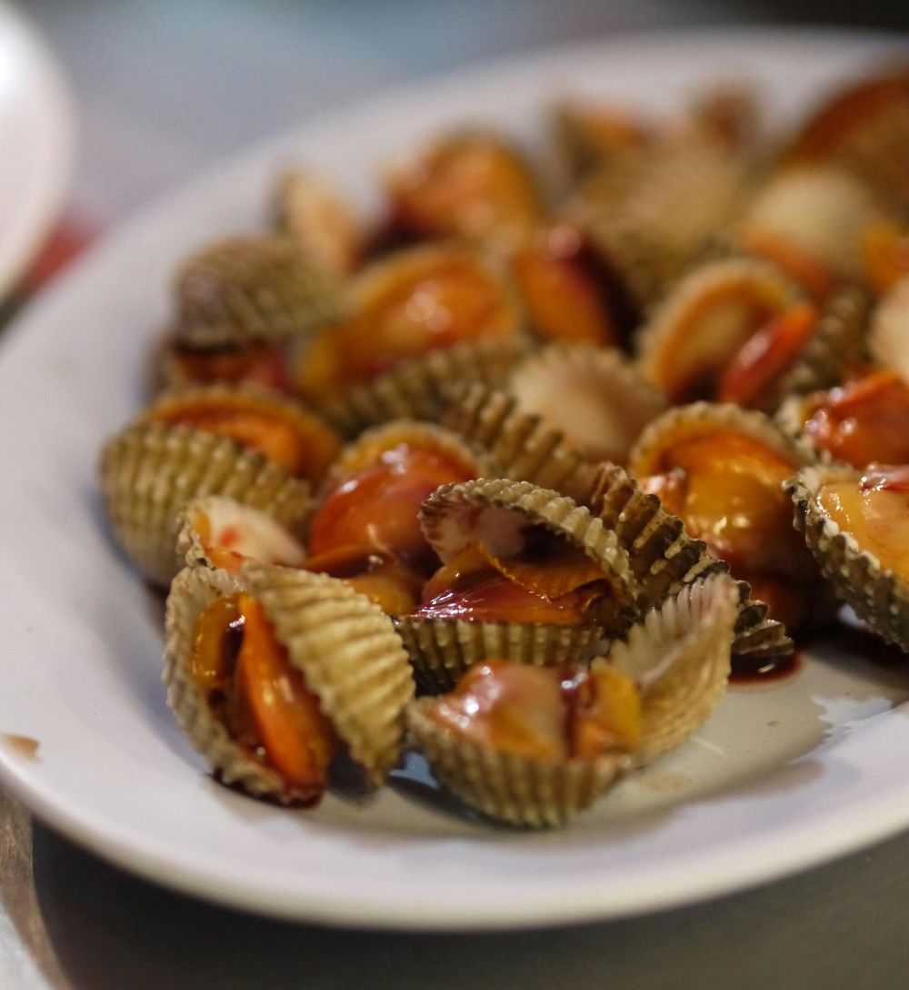 MGAP prohibió, hasta nuevo aviso, la extracción y venta de berberechos y mejillones procedentes de Rocha.