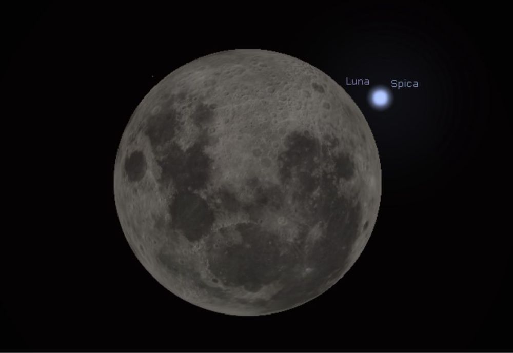 Luna y estrella&nbsp;Spica