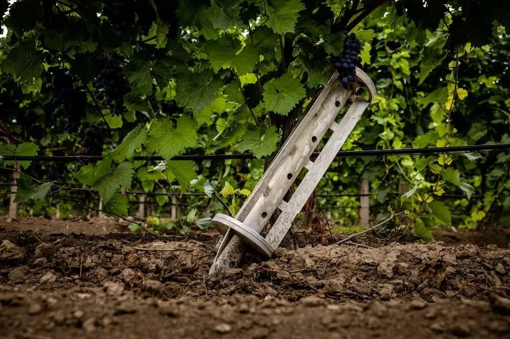 Un resto de misil olvidado en el viñedo.