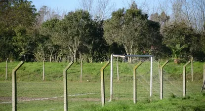 Cuatro procesados sin prisión por agresiones a dos jueces