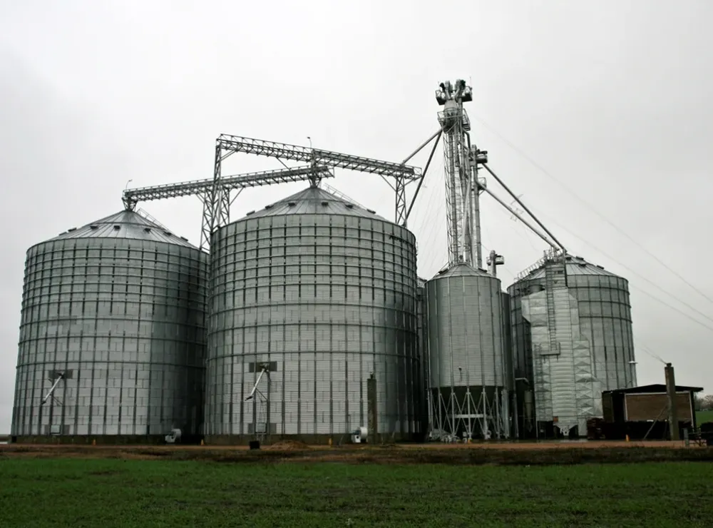 Los molinos arroceros priorizan el proceso industrial, las fuentes laborales y el entorno productivo