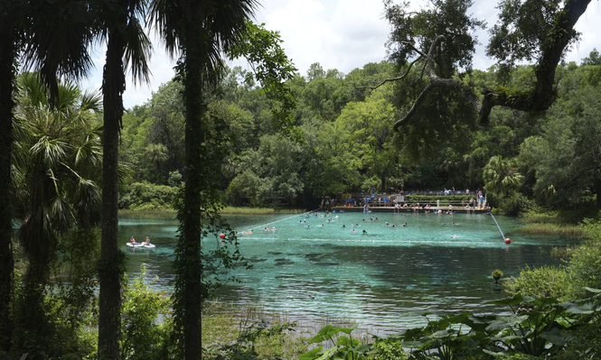 La zona de baño del Rainbow Springs State Park el viernes 18 de julio de 2025, en Dunnellon, Florida.&nbsp;