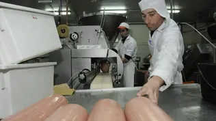 El gobierno pronostica que el desempleo llegue a 16%