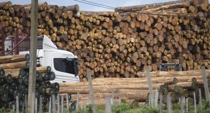 Madera y productos de madera fueron los rubros con mayor incidencia positiva en las exportaciones totales de marzo.