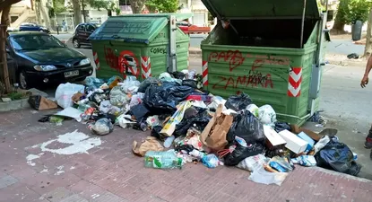 imm hizo una denuncia por quema de varios contenedores en pocitos