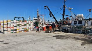 Al menos cuatro barcos pesqueros se alistan para salir al mar este jueves ignorando al sindicato y con nuevos marineros