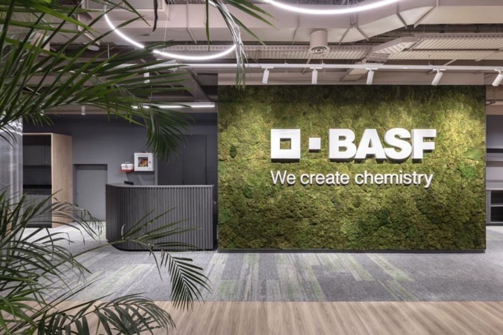 basf oficinas