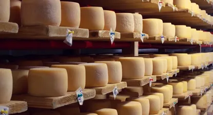 Consulta pública ante avance del TLC entre Mercosur-UE