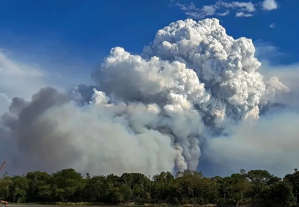 Gigantescas columnas de humo sobresalían este viernes de áreas de bosque calcinadas.