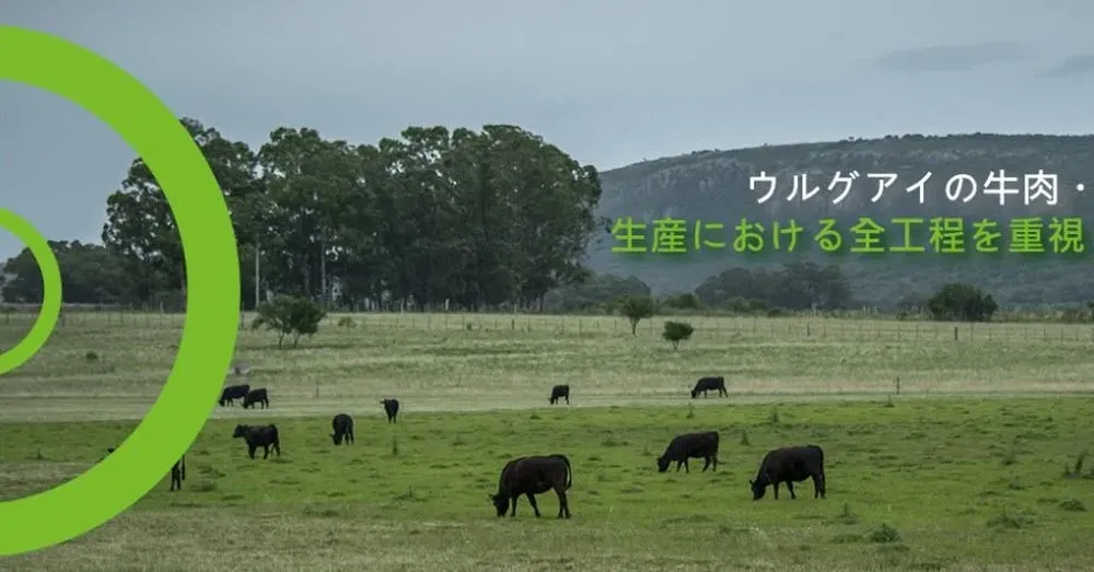 La imagen con la que se promociona la ganadería uruguaya en Japón.