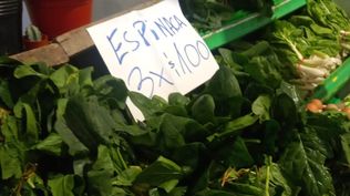 Frutas y verduras: espinaca de oferta en La Feria de la UAM.
